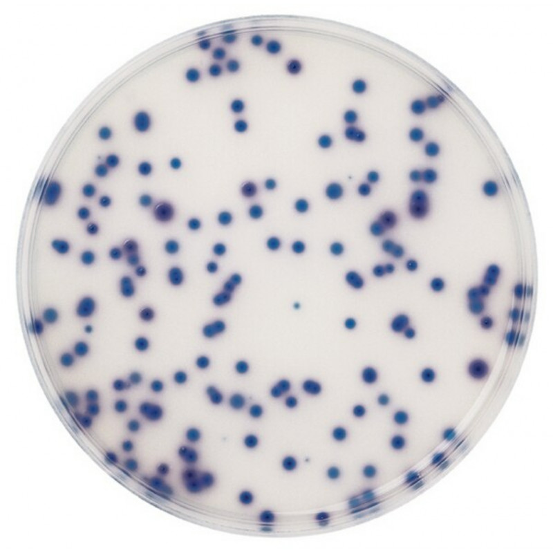 CHROMOCULT COLIFORMES AGAR MERCK 10426-500G