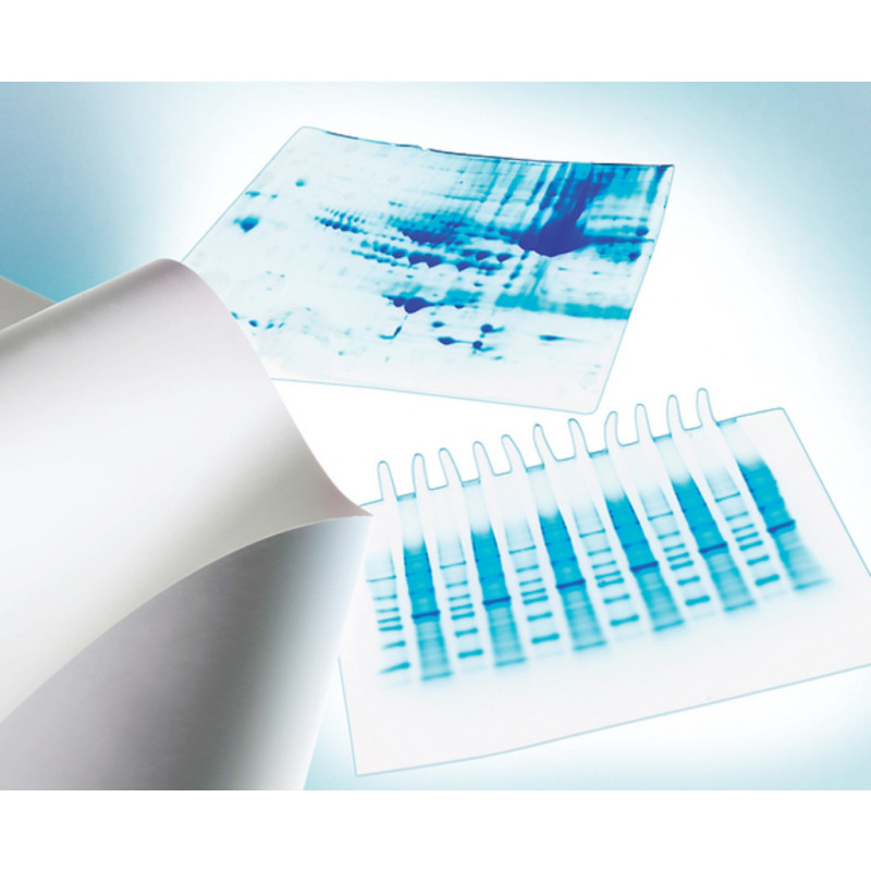 MEMBRANE EN PVDF IMMOBILON-P P.0,45UM D.20X20CM - PACK 10