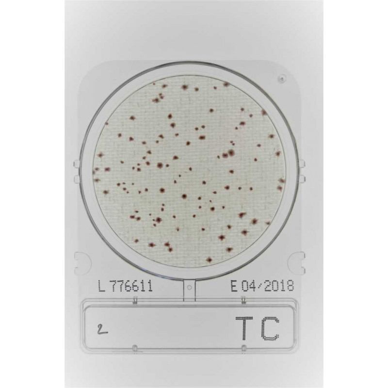 COMPACT DRY TC (FLORE TOTALE) SACHET DE 4 BOITES