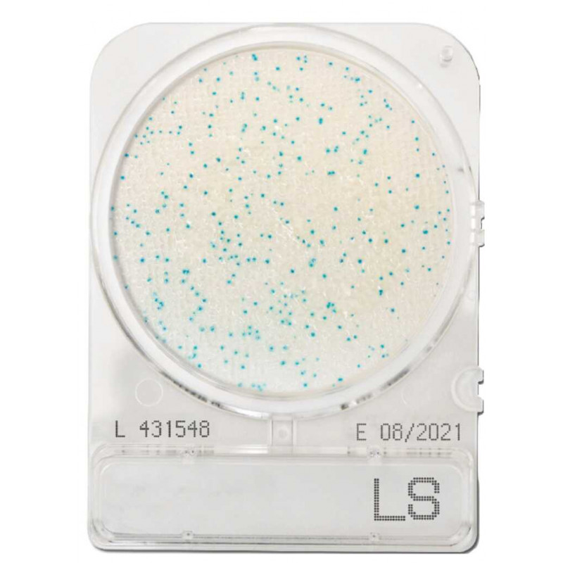 COMPACT DRY LS (LISTERIA) - PAR SACHET DE 4