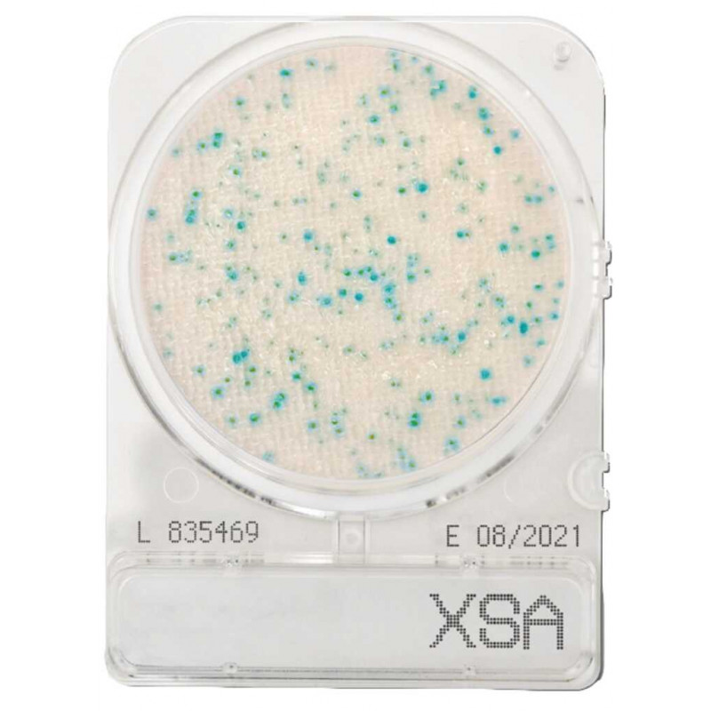 COMPACT DRY XSA (STAPH.AUREUS) SACHET DE 4 BOITES