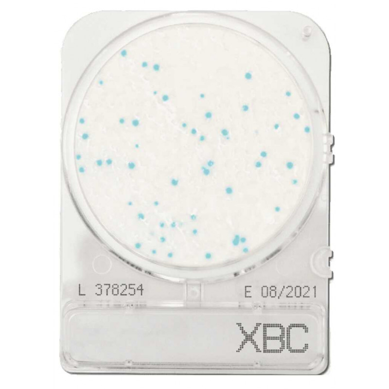 COMPACT DRY XBC (BACILLUS) SACHET DE 4 BOITES
