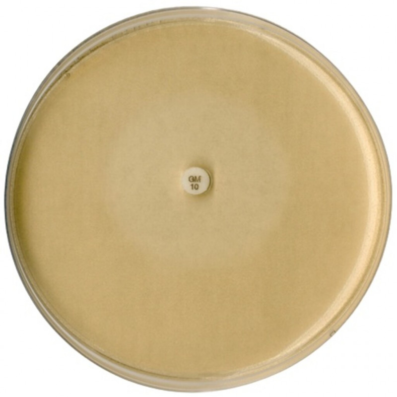 GELOSE TEMOIN PH 8,0 POUR TEST D'INHIBITION - 10664 - 500G