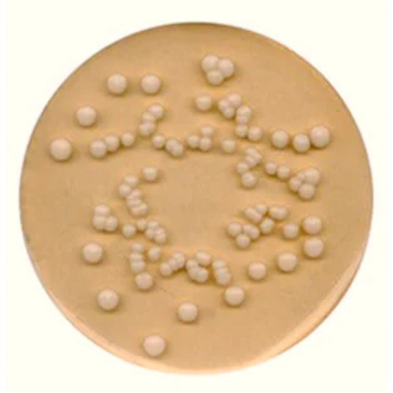 POTATO DEXTROSE AGAR SIGMA P2182 - 250G