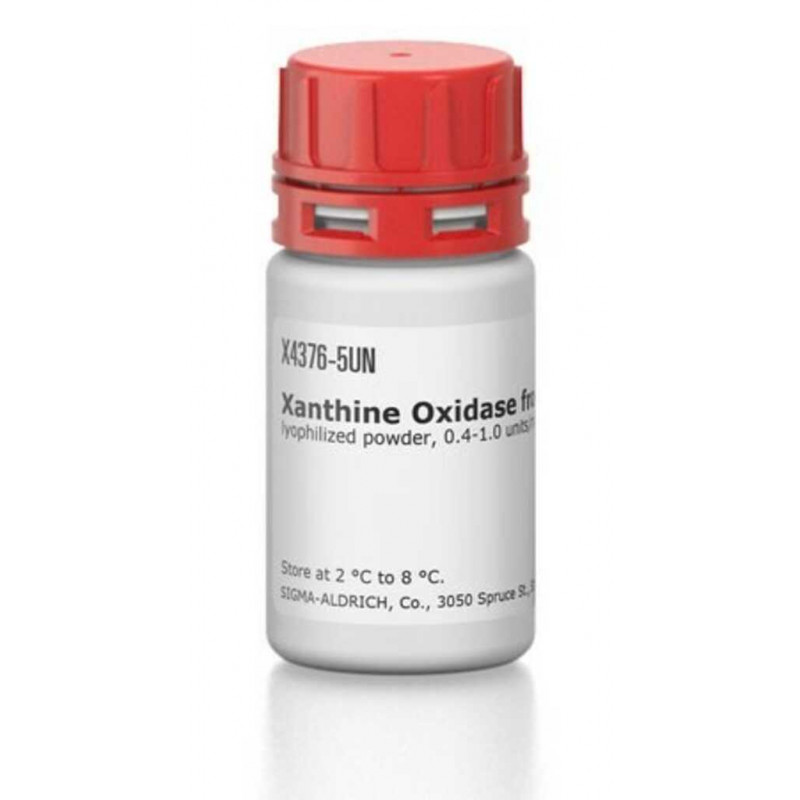XANTHINE OXIDASE, FROM BOVINE MILK SIGMA X4376-5UN