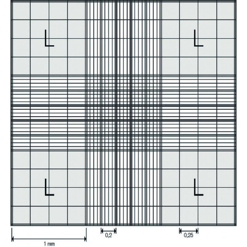 CELLULE DE NUMERATION NEUBAUER BRAND ETALONNABLE SANS PINCE