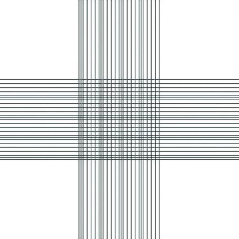 CELLULE DE NUMERATION THOMA DOUBLE AVEC PINCES