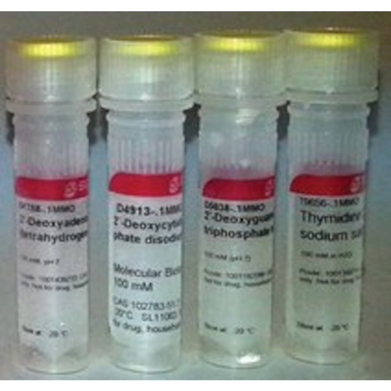 DEOXYNUCLEOTIDE SET 100MM POUR PCR SIGMA DNTP100A - 1KT