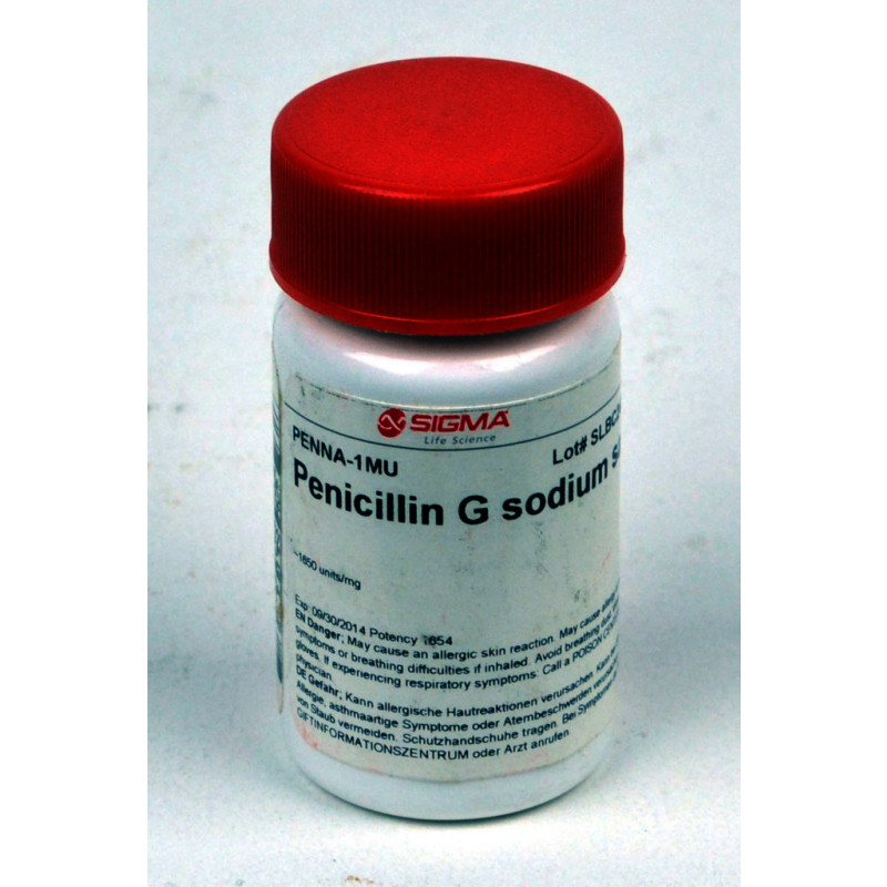 PENICILLINE G SEL DE SODIUM SIGMA PENNA-1MU