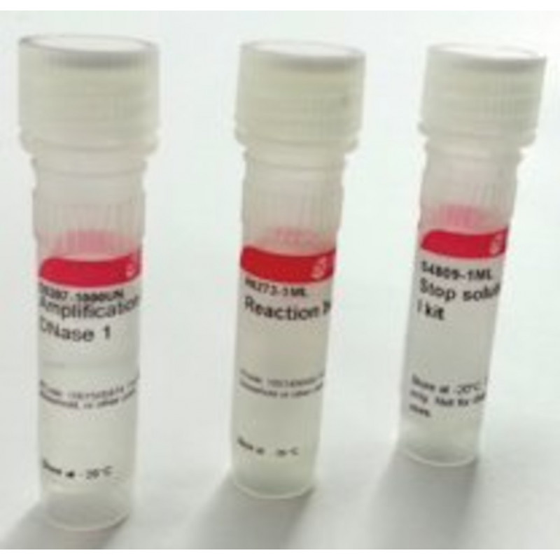 DNASE I AMPLIFICATION GRADE SIGMA AMPD1 - 1KT