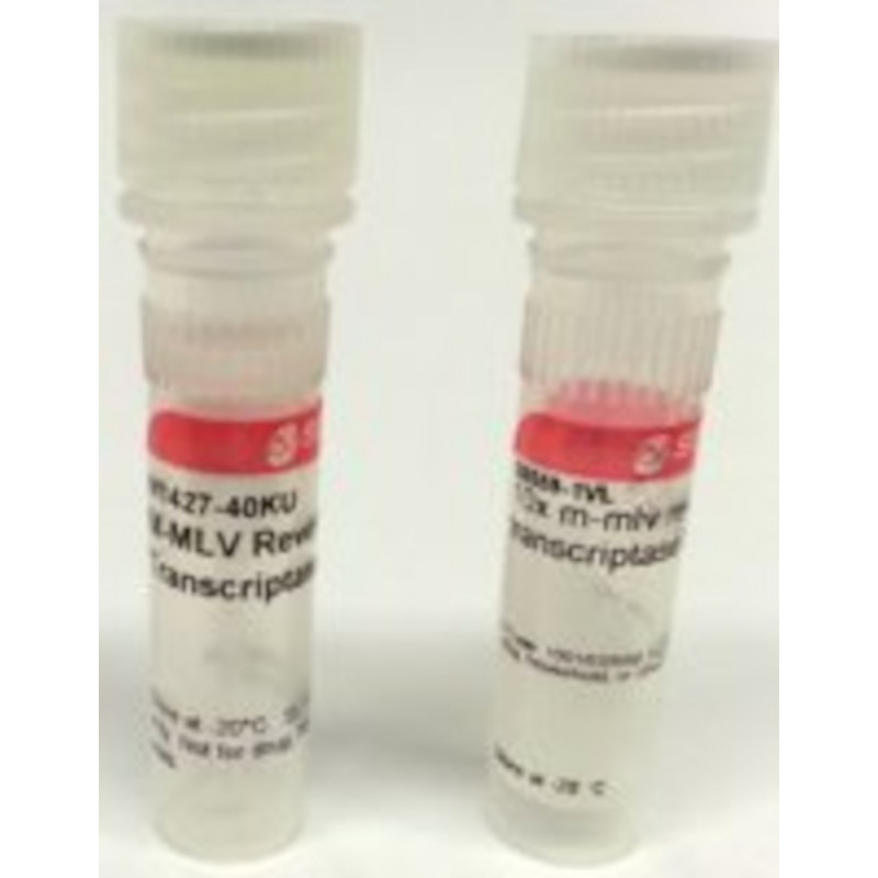 M-MLV REVERSE TRANSCRIPTASE SIGMA M1302 - 40KU