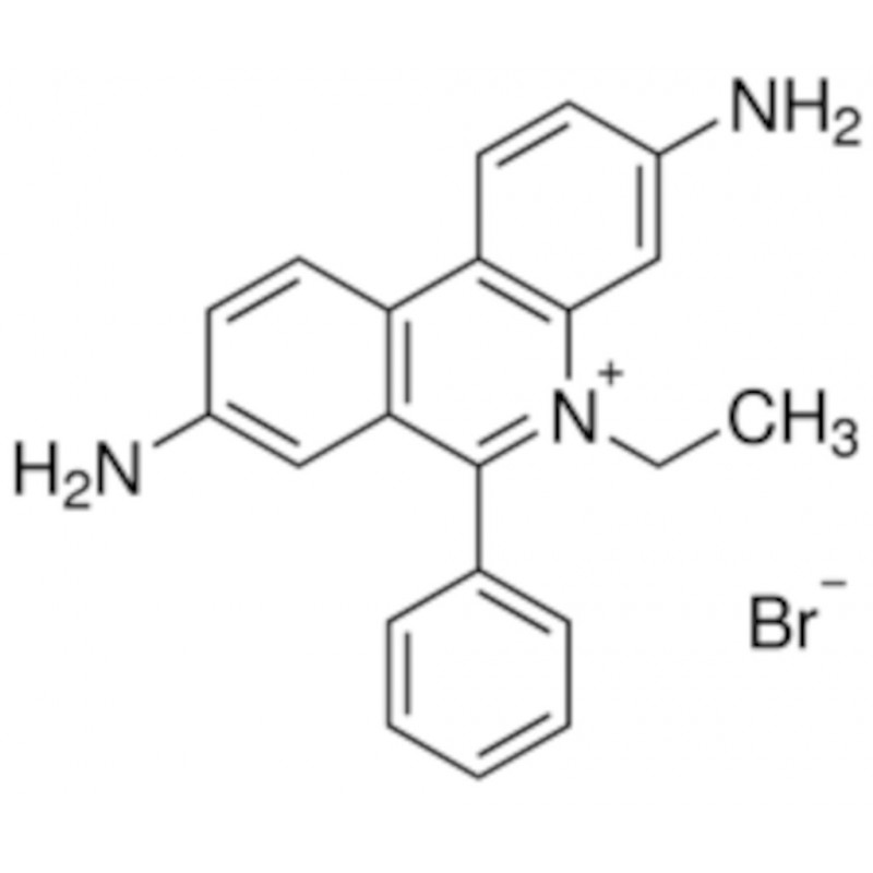ETHIDIUM BROMURE SOL. AQUEUSE 10 MG/ML SIGMA E1510 - 10 ML