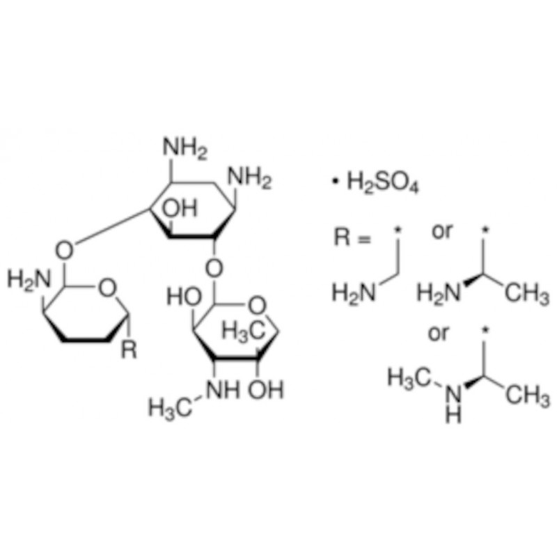 GENTAMICINE SOLUTION 50MG/ML SIGMA G1522 - 10ML