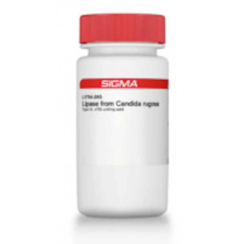 LIPASE DE CANDIDA RUGOSA - SIGMA - L1754 - 100G