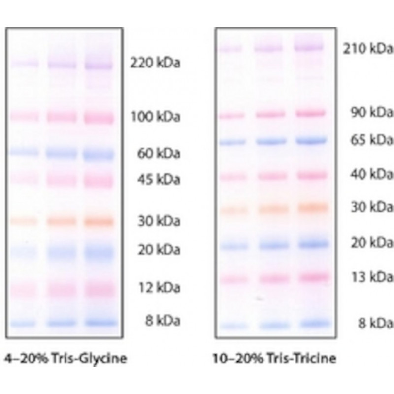 COLORBURST ELECTROPHORESIS MARKER SIGMA C1992 - 5X1VL