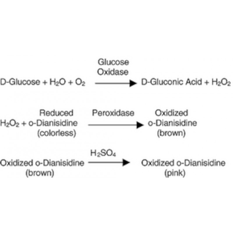 GLUCOSE OXYDASE FROM ASPERGILLUS NIGER - G2133 - PACK X 10 000