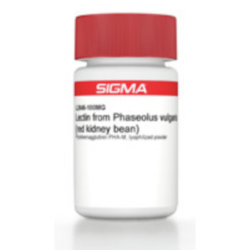 LECITINE PHASOLUS VULGARIS SIGMA L2646 - 100MG