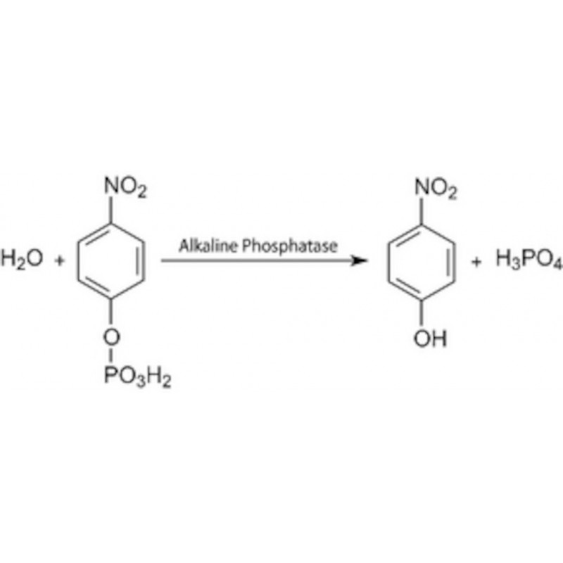 P-NITROPHENYL PHOSPHATE PR 20 ML SIGMA N2770 - 50TAB
