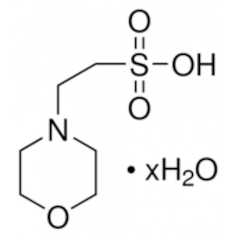 MES HYDRATE >99,5% M2933 -100G