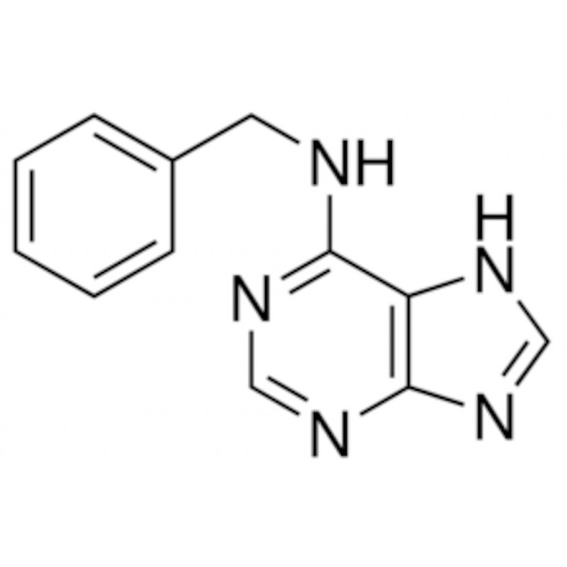 6-BENZYLAMINOPURINE SIGMA B3408 - 100MG