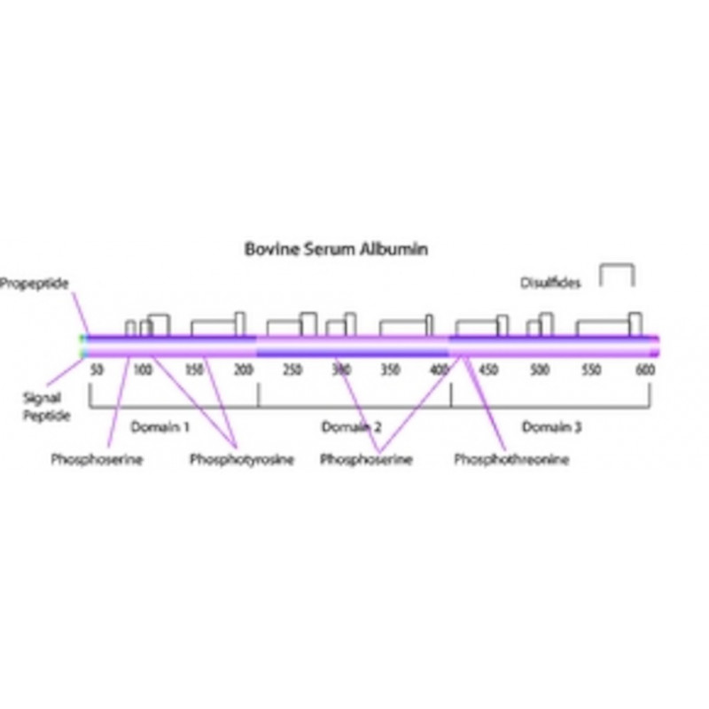 ALBUMINE DE SERUM BOVIN SIGMA A3912 - 500G