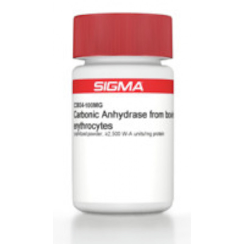 CARBONIC ANHYDRASE SIGMA C3934 500MG