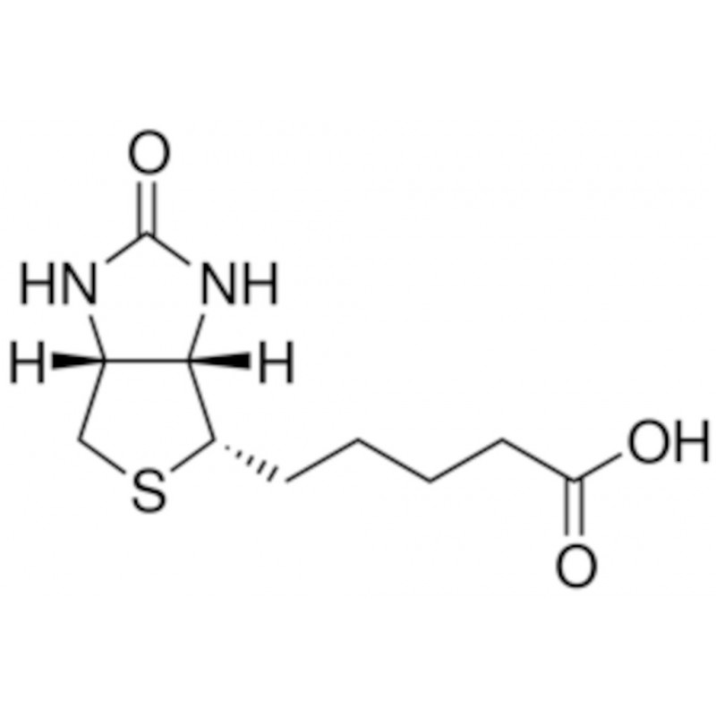 BIOTINE > 99% (HPLC) EN POUDRE LIOPHILISEE - B4501 - 10G