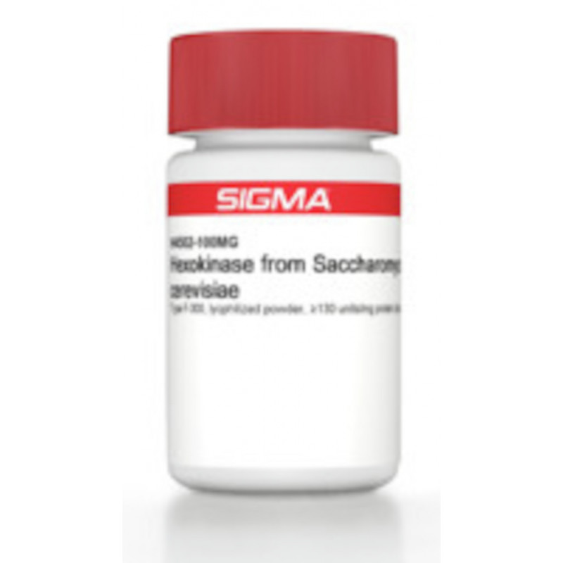 HEXOKINASE DE SACCHAROMYCES CEREVISAE SIGMA H4502 - 1KU