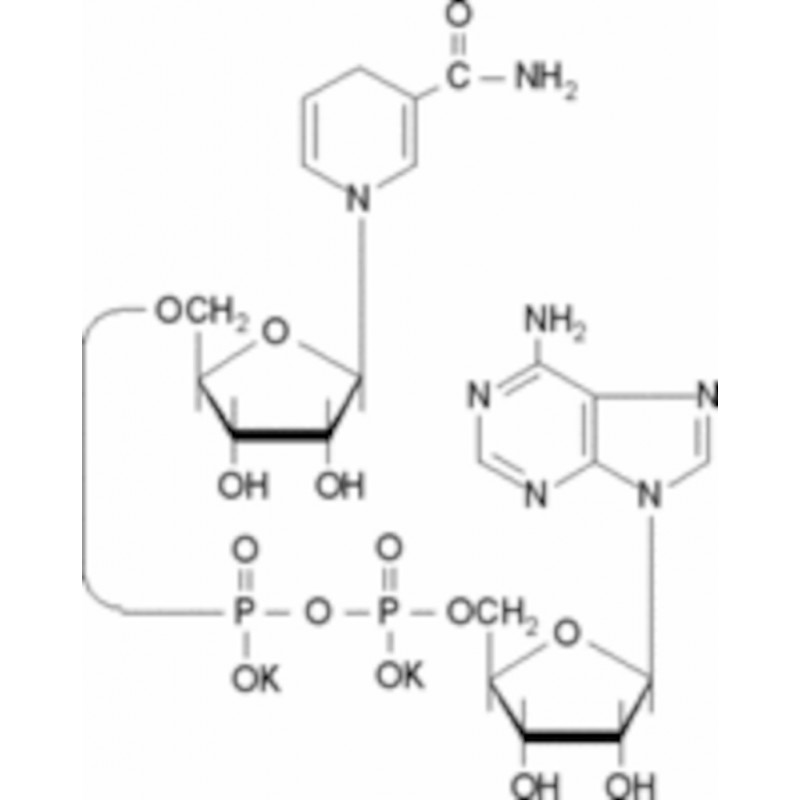 B-NICOTINAMIDE ADENINE DINU- CLEOTIDE SIGMA N4505 - 100MG