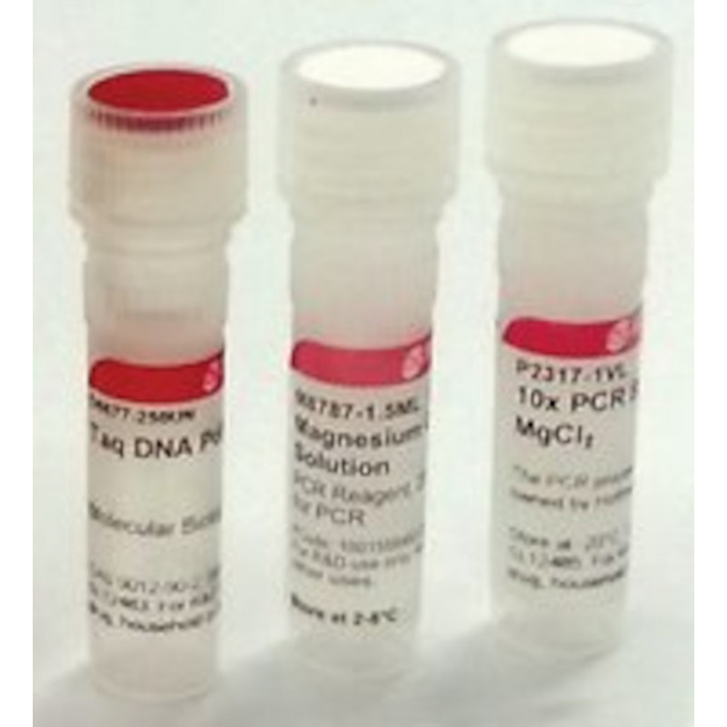 TAQ DNA POLYMERASE SIGMA D4545 - 250UN