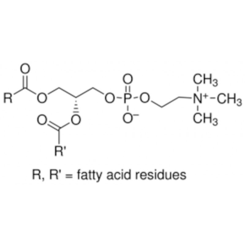 L-ALPHA-PHOSPHATIDYLCHOLINE TYPE II-S SIGMA P5638 - 500G