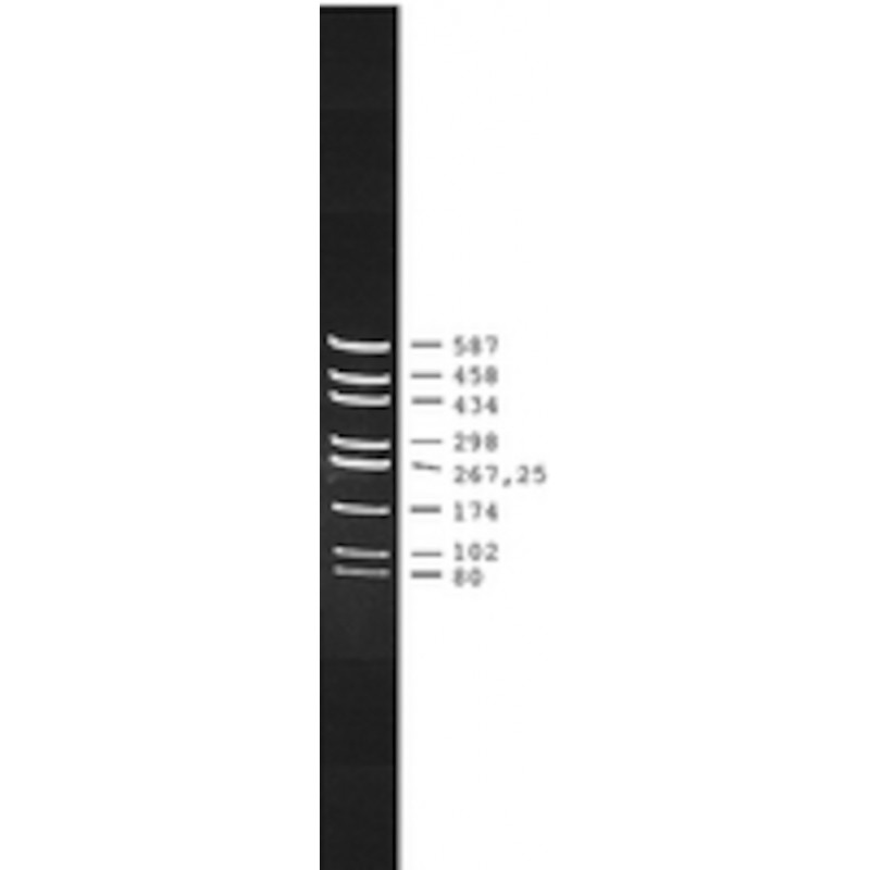 PUC18 DNA HAE III DIGEST SIGMA D6293 - 20UG