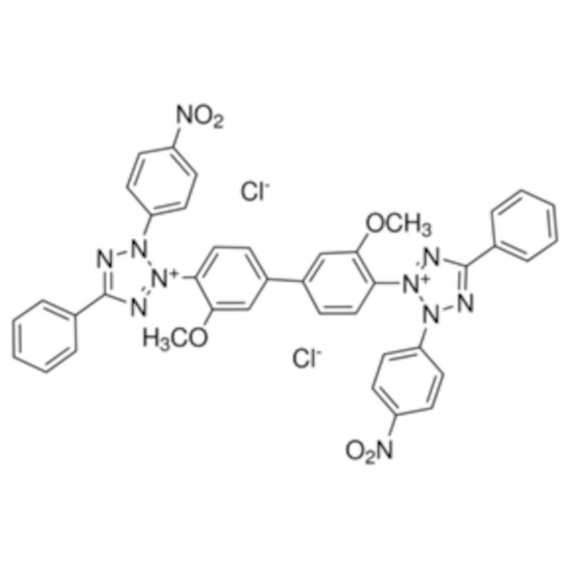 CHLORURE DE BLEU DE NITROTETRAZOLIUM N6639 - 50MG