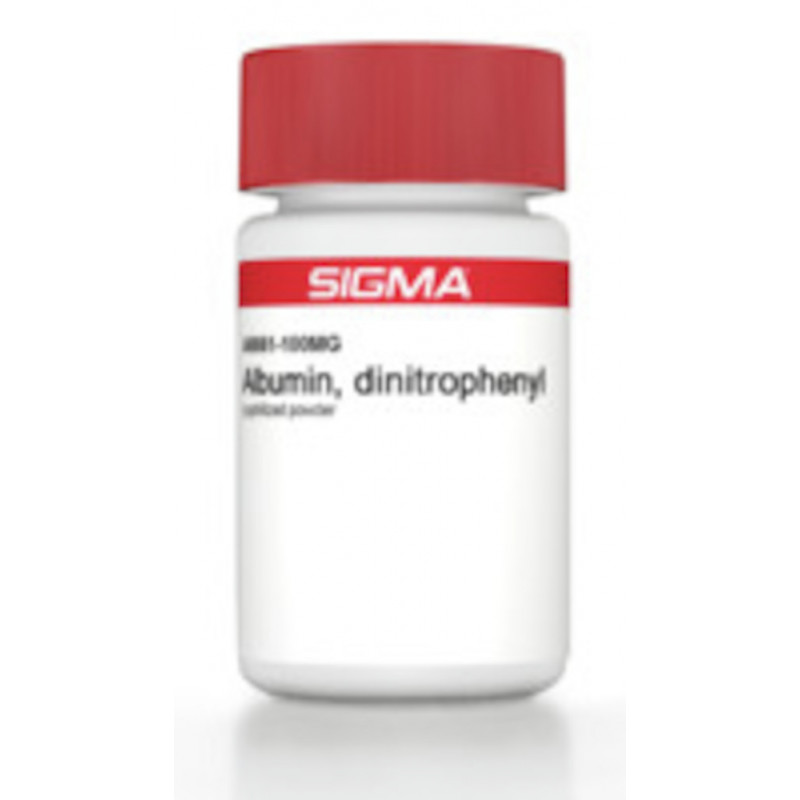 ALBUMIN DINITRPHENYL SIGMA A6661 - 100MG