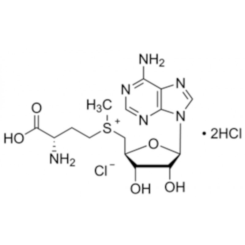 METHIONINE-L DICLORHYDRATE CHLORURE >80% SIGMA A7007-25MG