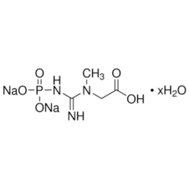 PHOSPHOCREATINE DISODIUM SALT HYDRATE >97% SIGMA -P7936 - 5G