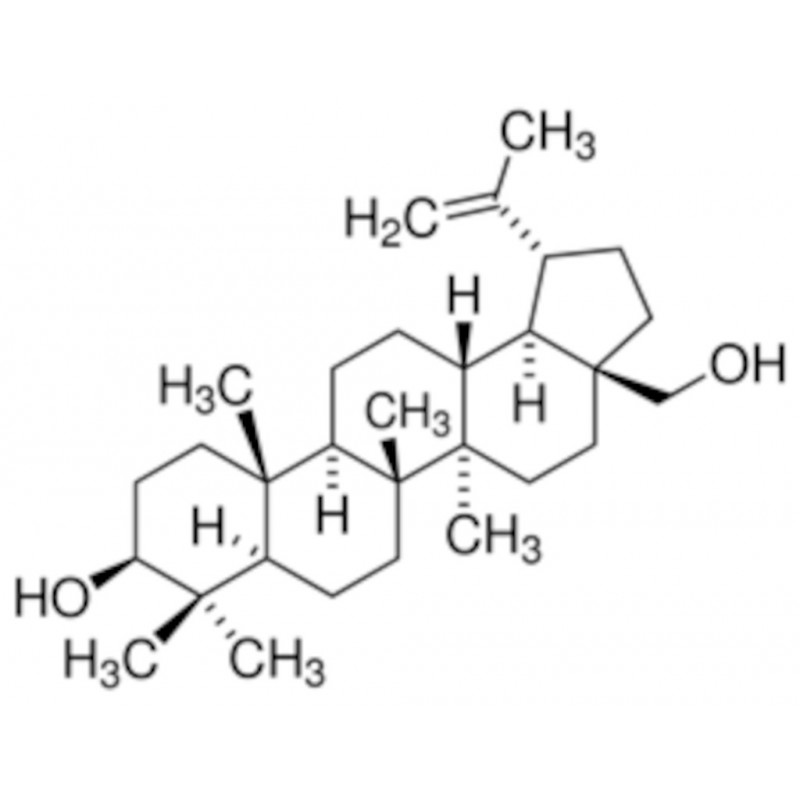 BETULINE >98% SIGMA B9757-1G