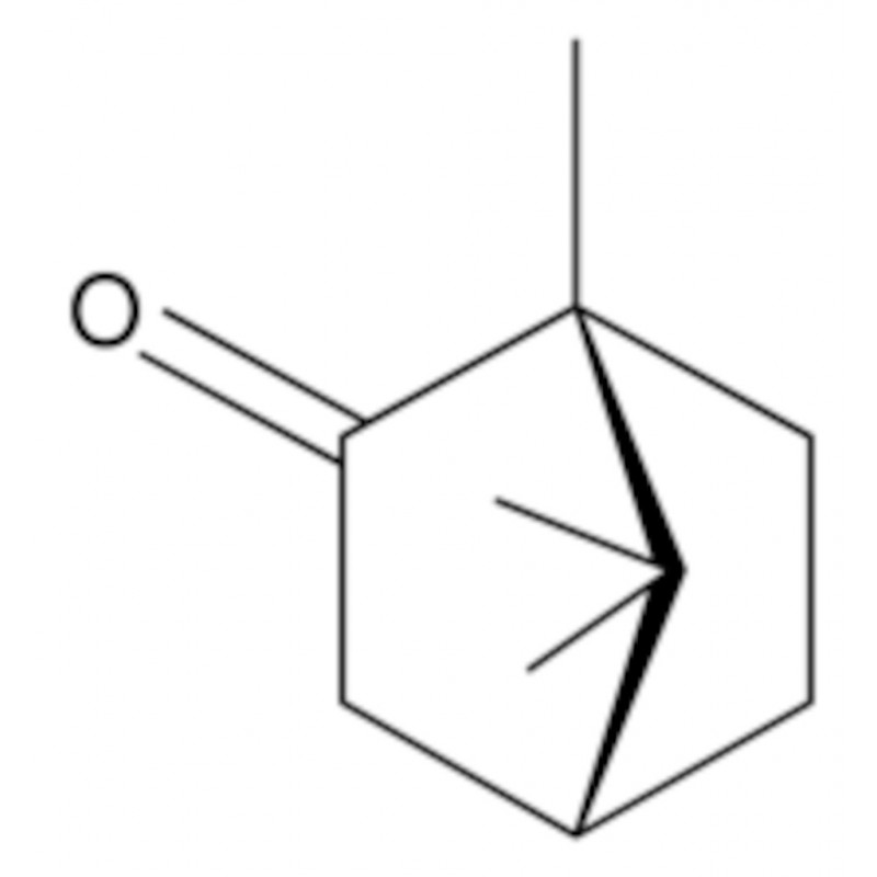 STANDARD ANALYTIQUE D-CAMPHRE SIGMA 50843 - 100MG