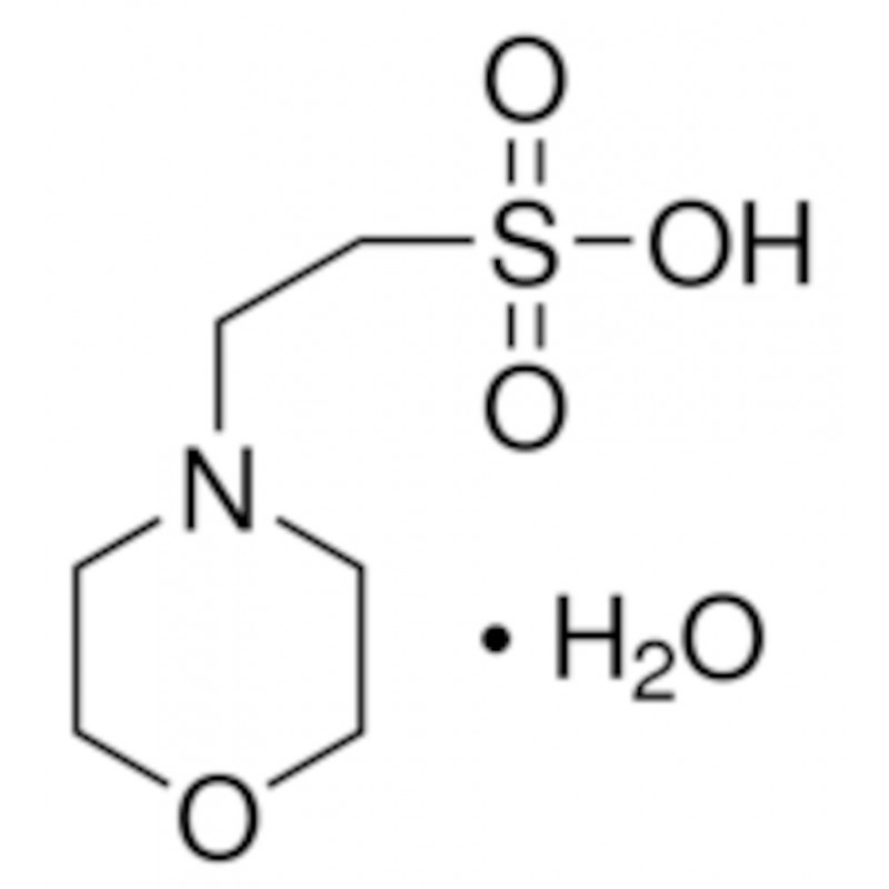 MES MONOHYDRATE BIOULTRA >99,5% - 69889 - 10G