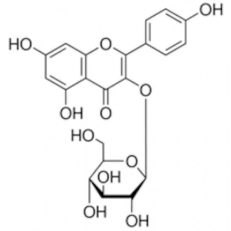 KAEMPFEROL-BETA-D-GLUCOPYRANO- SIDE - SIGMA - 79851 - 25MG