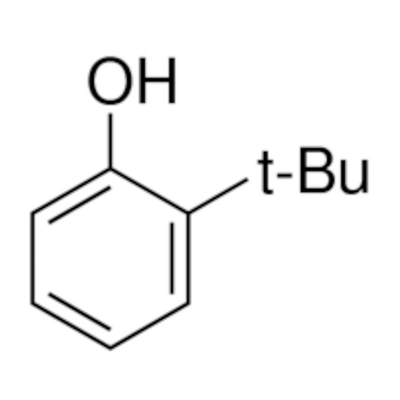 2-TERT-BUTYLPHENOL 99% ALDRICH B99405 - 500ML