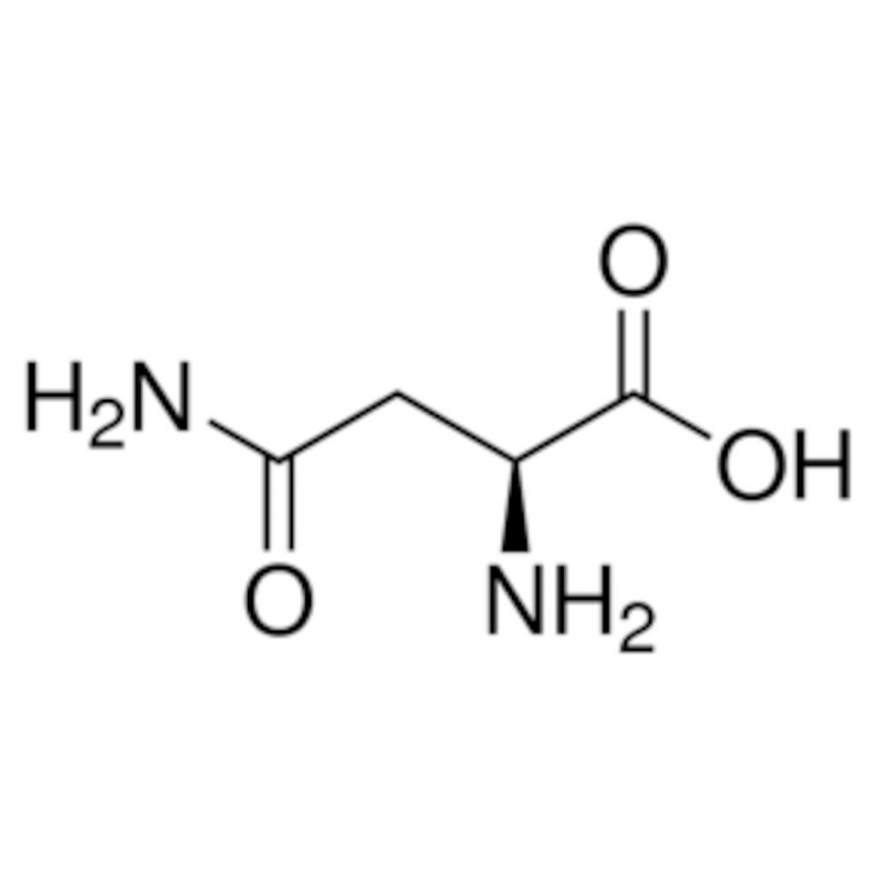L-ASPARAGINE >98% HPLC SIGMA - A0884 - 25G