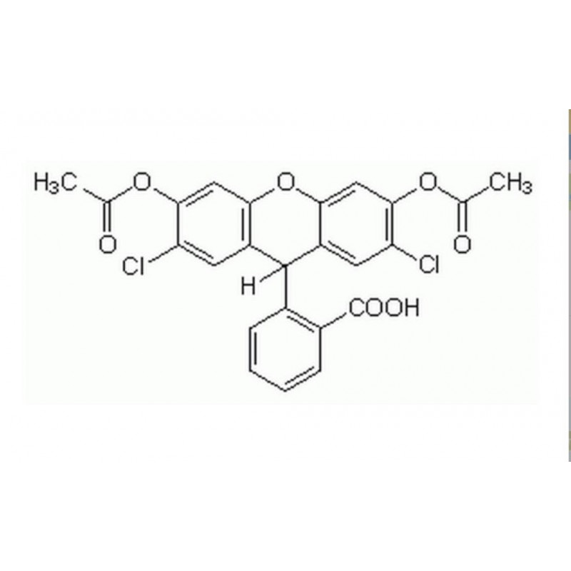 2',7'-DICHLOROFLUORESCIN DIACETATE >94% HPLC - 100MG