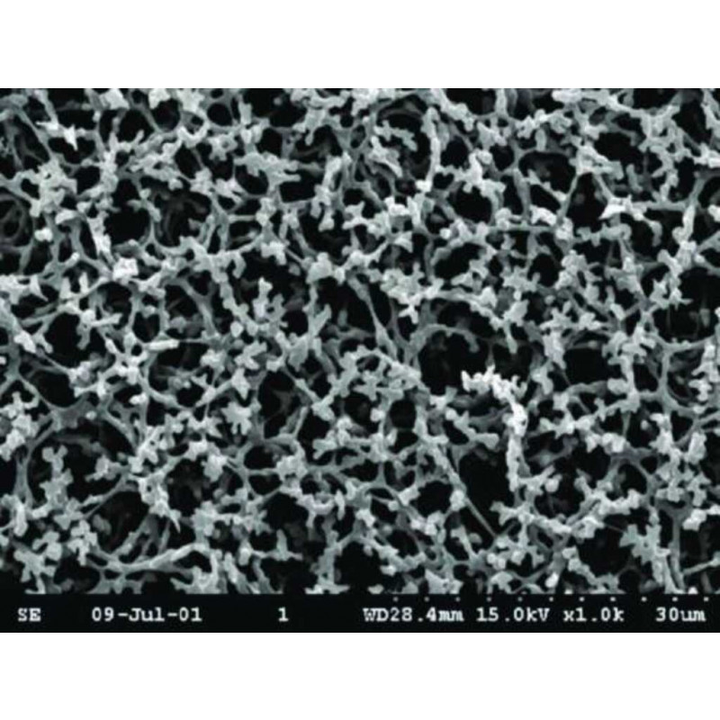 MEMBRANE DE FILTRATION AE99 WHATMAN POR. 8µm - DIAM. 47mm - PACK X100