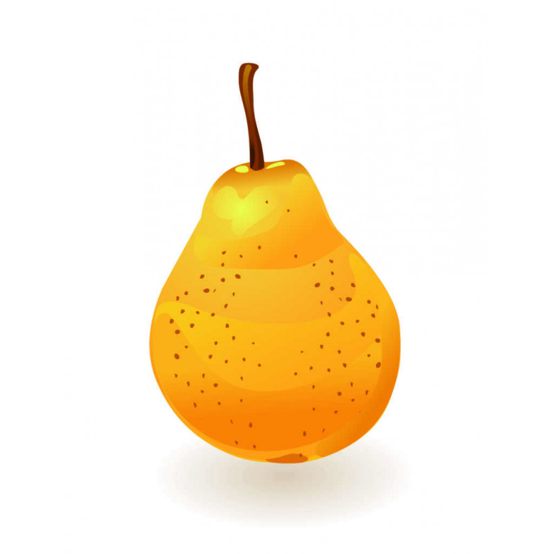 POIRE AROME NATUREL 1L AN1082