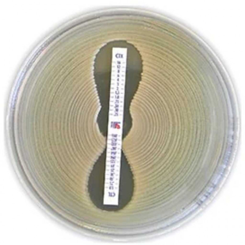 PIPERACILLIN - TAZOBACTAM TZP 0,016/4-256/4 - 30 MIC TEST