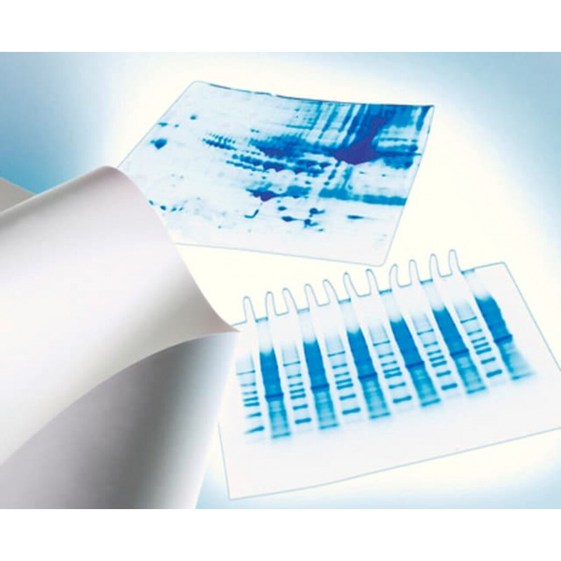 MEMBRANE TRANSFERT PVDF IMMOBILON-P 0,45µM 26,5CM X 3,75M - LE ROULEAU