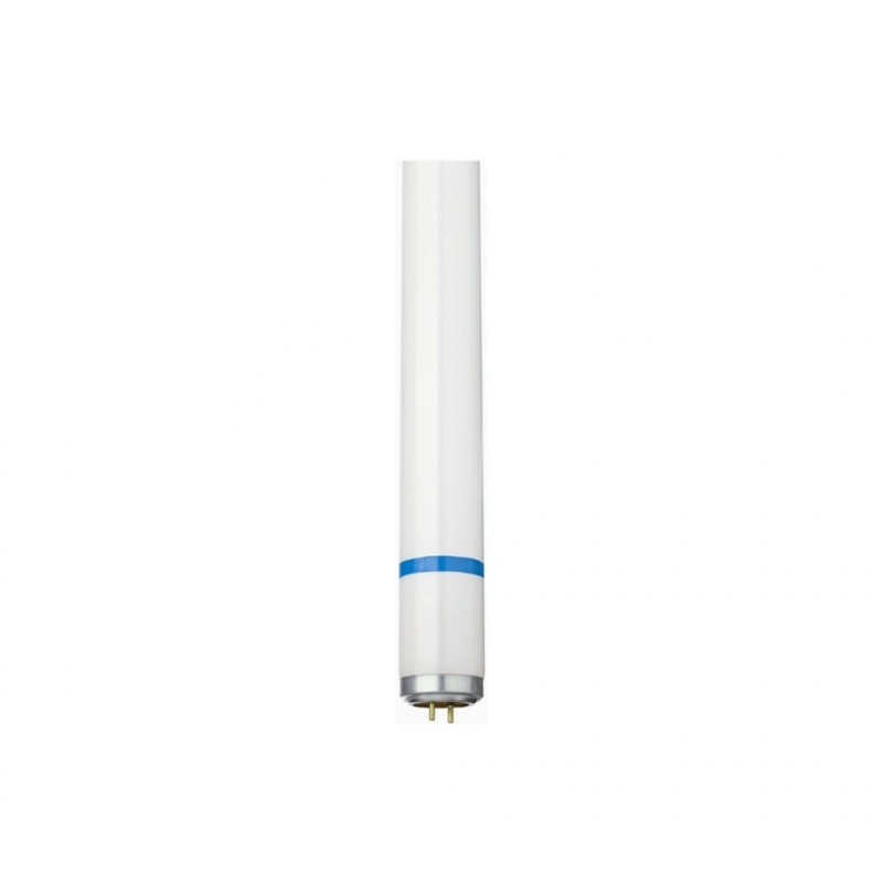 TUBE ACTINIQUE 36W ANTI-ECLAT EUROPE - L'UNITE