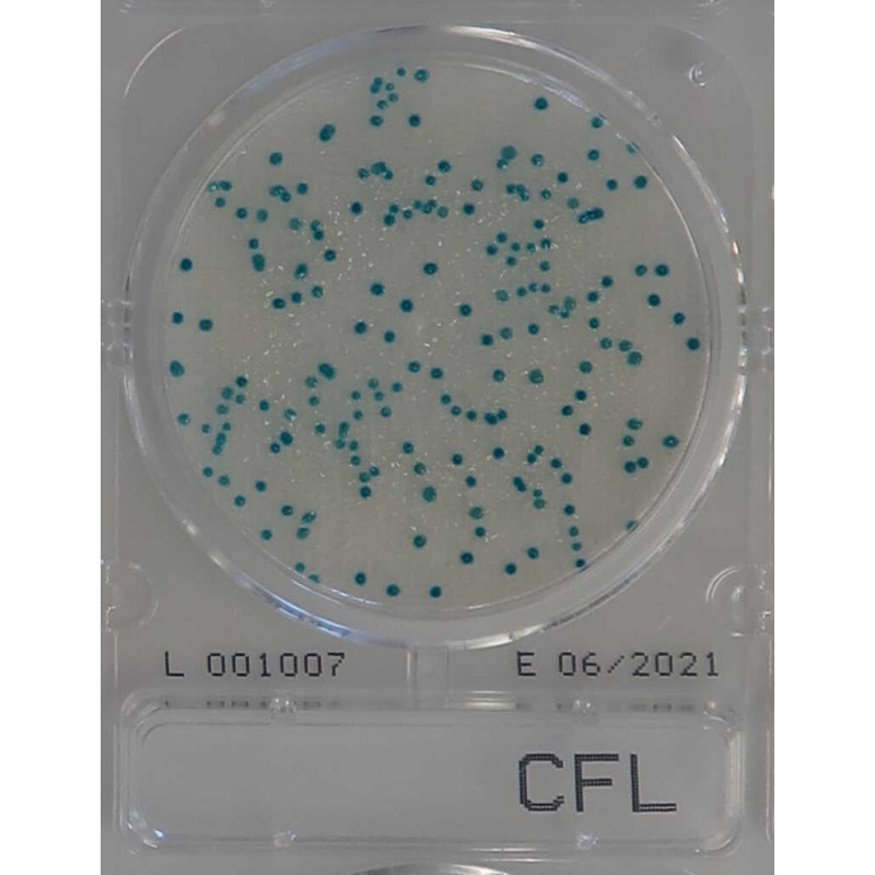 COMPACT DRY CF-L  COLIFORMES PACK DE  40