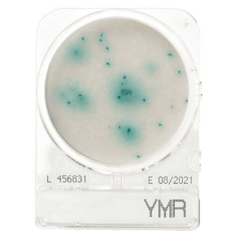 COMPACT DRY YMR LEVURES/MOISISSURES RAPIDE - PAR SACHET DE 4